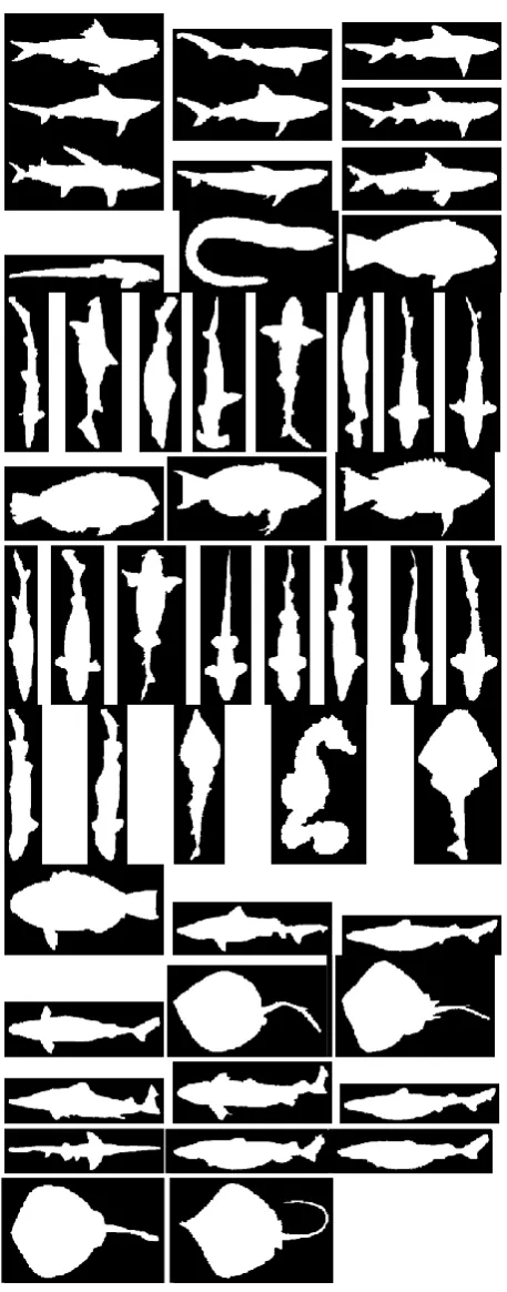 Fig 1: Training Images for all 50 classes 