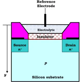 Fig. 1. Schematic diagram of ISFET structure. 