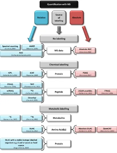 Figure 4|Quantitative methods. Summary diagram giving an overview of quantitative methods applicable for use with mass spectrometry, the methods are divided into relative and absolute quantification strategies and further subdivided according to whether la