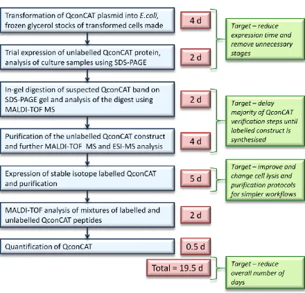 Figure 7| Aims and objectives. Summary flow diagram of the original QconCAT production protocol and the number of days allocated to each stage