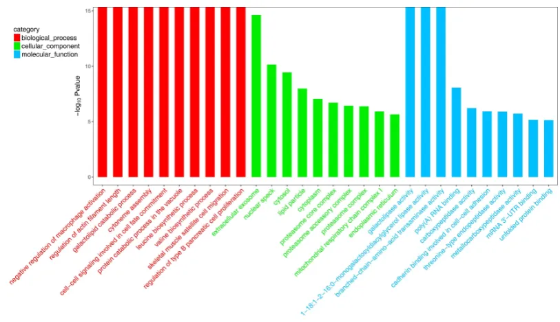 Fig. 4. Histogram presentation of enriched GO terms. The different expressed genes are 