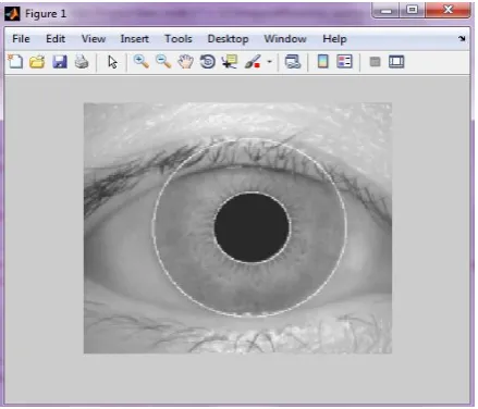 Fig. 2. Segmented Iris image 