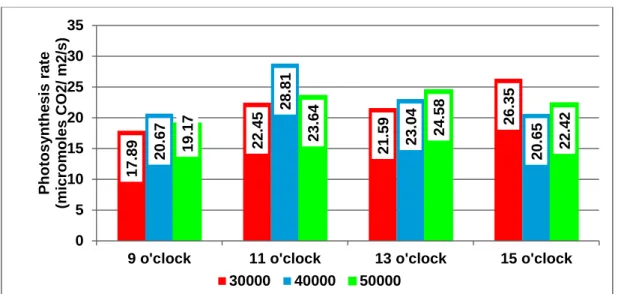 Figure 1. Sweet potato plant photosynthesis rate (micromoles CO 2 / m 2 /s) in the phase root tubers,  depending on planting density 