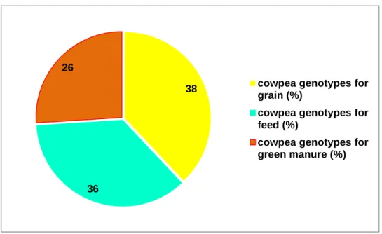 Figure 3. Morphological diversity of cowpea genotypes studied in the Dabuleni 