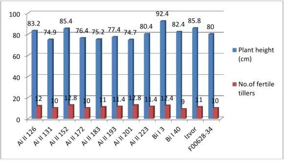 Fig. 1. Average data as concern plant height (cm) and no. of fertile tillers 