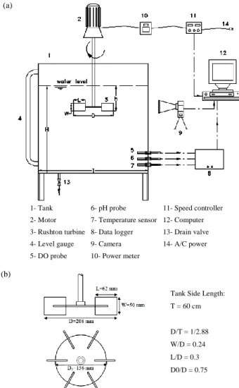 Fig. 1. Schematic and geometrical specifications of: (a) Experimental set-up  (b) Rushton disk turbine
