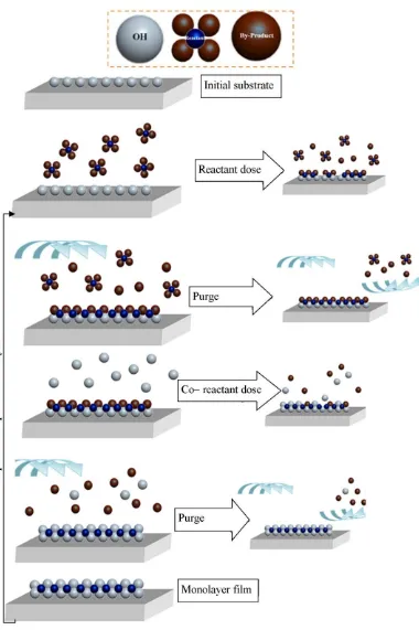 Figure 9: Schematic of ALD process using self-limiting surface chemistry. 