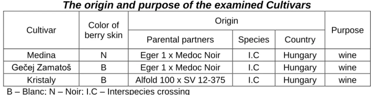 Table 1  The origin and purpose of the examined Cultivars