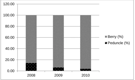 Figure 2. Mechanical composition of the bunch 