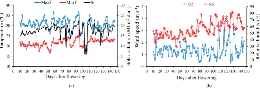 Figure 2. Maximum temperature-MaxT, minimum temperature–MinT and solar radiation-Sr (a) and average wind speed - U2 and relative humidity-Rh (b) during the assessment period