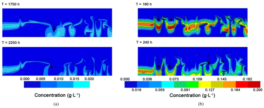 Figure 7. Concentration distribution in the heterogeneous profiles, calculated with HYDRUS for two imposed surface veloc-ities 1.5 mm∙h−1 (a) and 15 mm∙h−1 (b) for anadsorption coefficient of Kd = 1E−3 L∙g−1