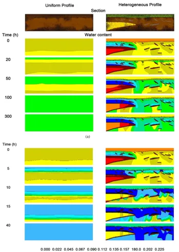 Figure 3. Time evolution of the volumetric water content, calculated with HYDRUS for the two imposed velocities: 1.5 mm∙h−1 (a) and 15 mm∙h−1 (b)