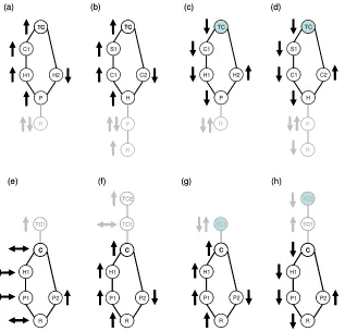 Fig. 3. Equilibrium responses to enrichment (a, b, e, f) and to increased top consumer mortality (c, d, 