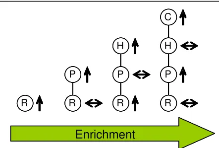 Fig. 1 Assembly sequence of successive trophic 