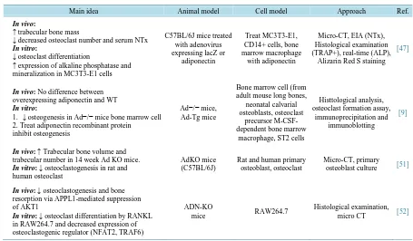 Table 1. Effects of ApN on bone metabolism.                                                                 