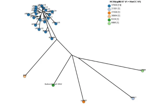 Figure S1. GrapeTree inferred using the NINJA NJ algorithm and based on the cgMLST V1 +  HierCC V1 scheme from Enterobase