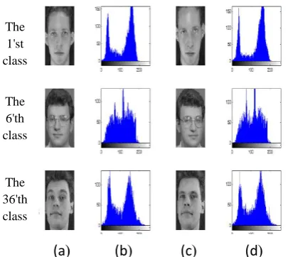 Figure (8) Face images of different classes with their corresponding gray level histograms
