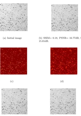 Figure 3: (a) Original image, (b) noisy one, (c) topological gradient for second-order, (d) topologicalgradient for fourth-order, (e) p(·)-Kirchhoﬀ model, (f) TVL model and (g) “Bi-Harmonic” model.