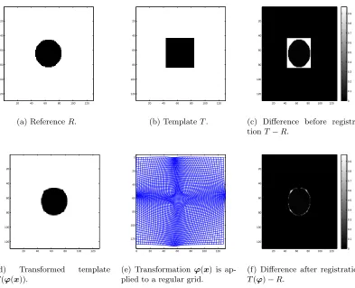 Figure 3.1: Illustration of an image registration problem.Reference and templateimages are given in (a) and (b) respectively