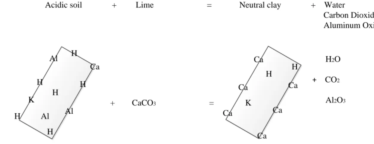 Figure 1. How lime neutralizes acidic soil (Ball, 1999) 