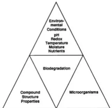 Figure 1 Elements involved in bioremediation ("Bioredegradation Triangle")   (Suthersan, 1999) 