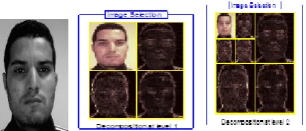 Figure 1. Wavelet decomposition at different levels (a) original image, (b) the wavelet decomposition to a single level (c) 2-level 