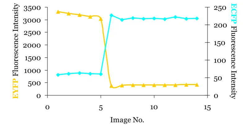 Figure 1-4. Data illustrating acceptor photobleaching.  