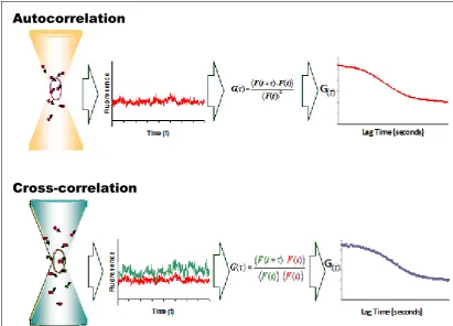 Figure 1-5 Diagrammatic representation of FCS and FCCS.  