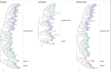 Fig. 1 Phylogenetic trees of PyV LT-Ag genes. PyVs were classified according to the host species (mammal, avian, and fish) in the ML-based treesconstructed using nucleotide sequences of LT-Ag coding genes, DnaJ domains, and helicase domains (Alphapolyomaviruses [ ];Betaapolyomaviruses [ ]; Deltapolyomaviruses []; Gammapolyomaviruses [ ]; unassigned [])