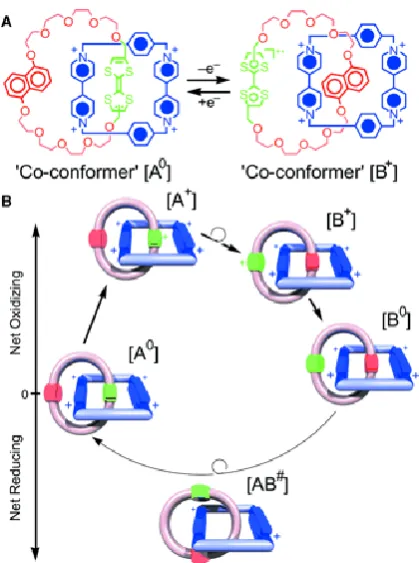 Figure 3: (A) the electron transfer between (A0) and (B+) and (B) the mechanism 
