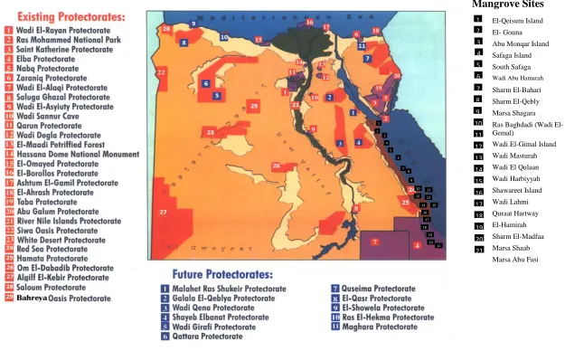 Figure (1-1) The famous ESAs that are suitable for ecotourism development  Source: The author based on EEAA and MSEA (2010); Ibrahim (2011) 