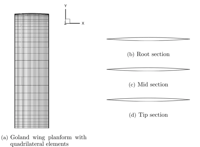 Figure 4.14: Goland wing planform with quadrilateral elements and cross sections.