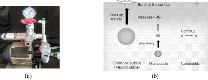 Figure 1 shows the equipment and process used to generate COnanobubble generator connected to a COThe gas pump generated a negative pressure to pressurize the mixing header