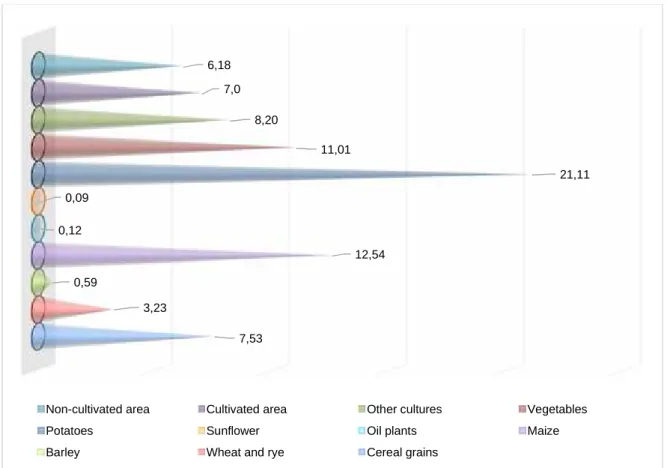 Fig. 4. Vâlcea County – Cultivated surface structure – share at regional level Average 2009-2011