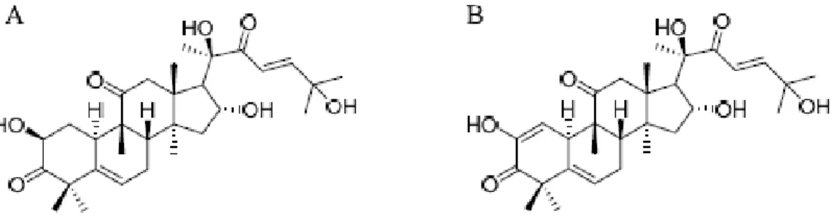 Fig. 6. The chemical structure of cucurbitacin D (A), cucurbitacin I (B ) 
