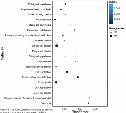 Figure 5. The KEGG pathway analysis of predict-ed targets differentially expressed miRNAs.