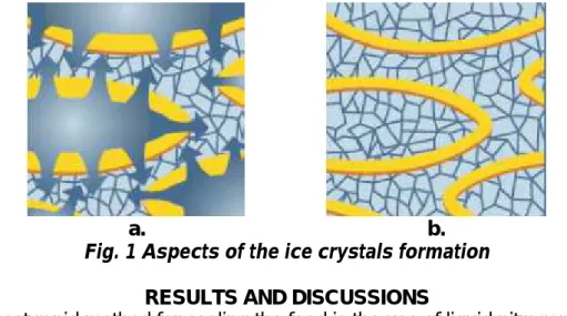 Fig. 1 Aspects of the ice crystals formation RESULTS AND DISCUSSIONS