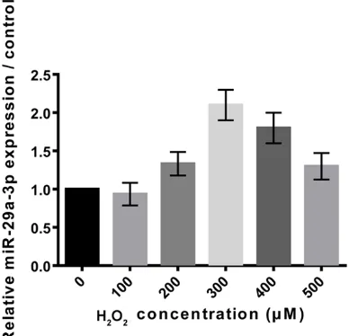 Figure 2. H2O2 induced the up-regulation of miR-29a-3p in PC-12 cells. The real-time quantitative PCR method was used to analyze the effect of H2O2 on expression of miR-29a-3p in PC-12 cells