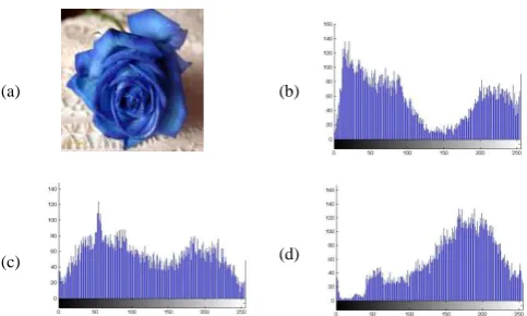 Fig 3:  The first plain-image and its histogram:  (a) the image (flower.bmp);  (b) histogram of  R;  (c) histogram of  G;           (d) histogram of  B