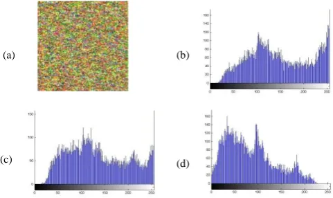 Table 4.  Results of Information Entropy analysis for the confused images of flower.bmp and fruit.bmp by  applying the  CA3DCS.