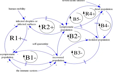 Figure 4. The simplified structure of the limits to growth #1 in the contagious sub-system 