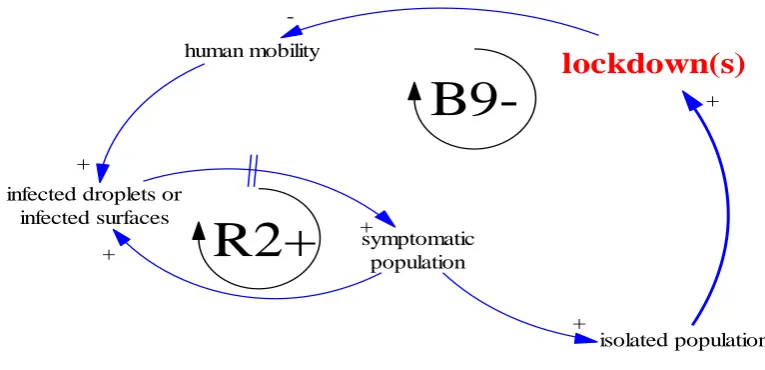 Figure 5. The simplified structure of the limits to growth #2 in the contagious sub-system 