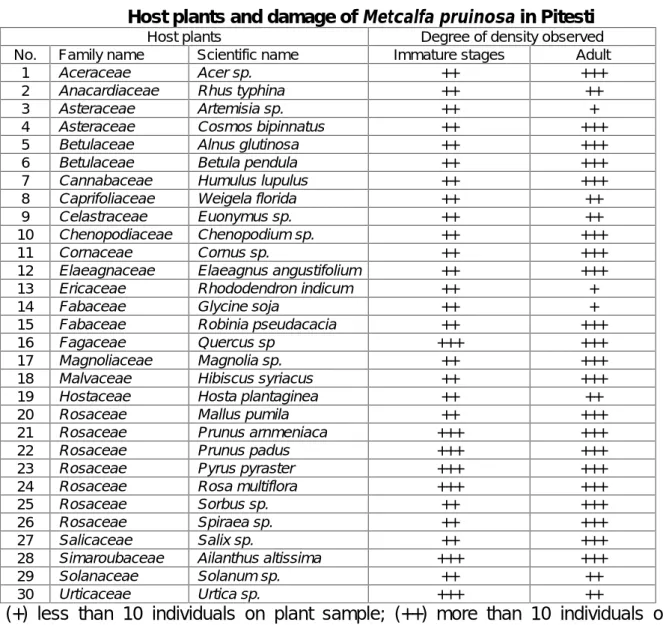 Table 2 Host plants and damage of Metcalfa pruinosa in Pitesti