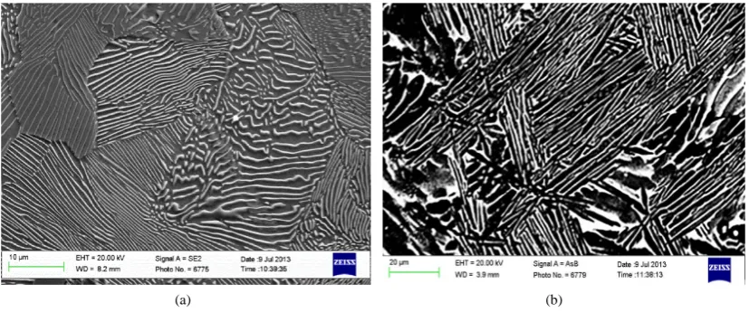 Figure 1. Microstructure of bulk material: (a) Nano-structured bainitic steel; (b) Titanium64
