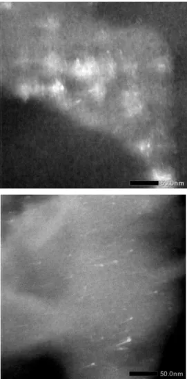 Fig. 2. SEM-EDX images of the elements detected on the surface of (a)  AC-Ag and (b) AC-Cu