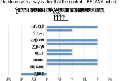 Figure 1 – Blooming time and differences in days in comparison with control (Belana hybrid) in 2013