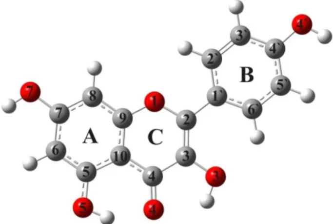Fig. 1. The optimized structure and numbering of kaempferol