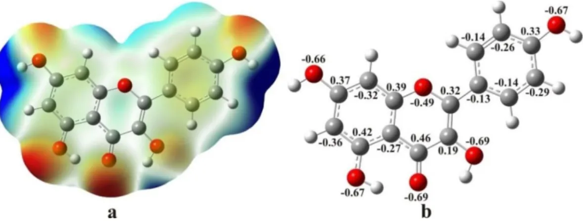 Fig. 3. Molecular electrostatic potential surface (left) and the natural charge distribution (right) 