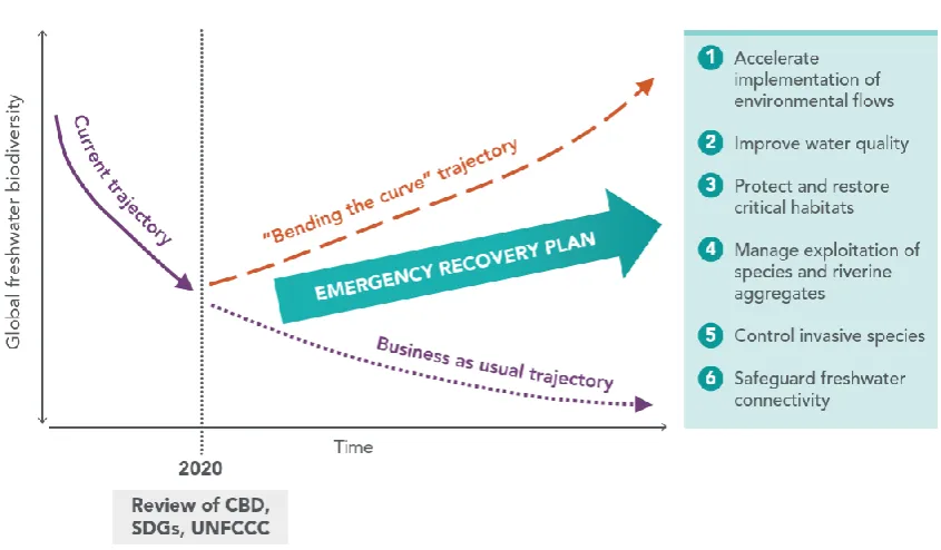 Figure 1: The Emergency Recovery Plan for Freshwater Biodiversity: Six priorities for global action to bend the curve of freshwater biodiversity loss that should be reflected in the post-2020 biodiversity framework  