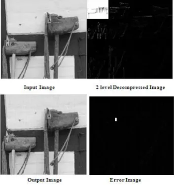 Figure 11.  Horse image 